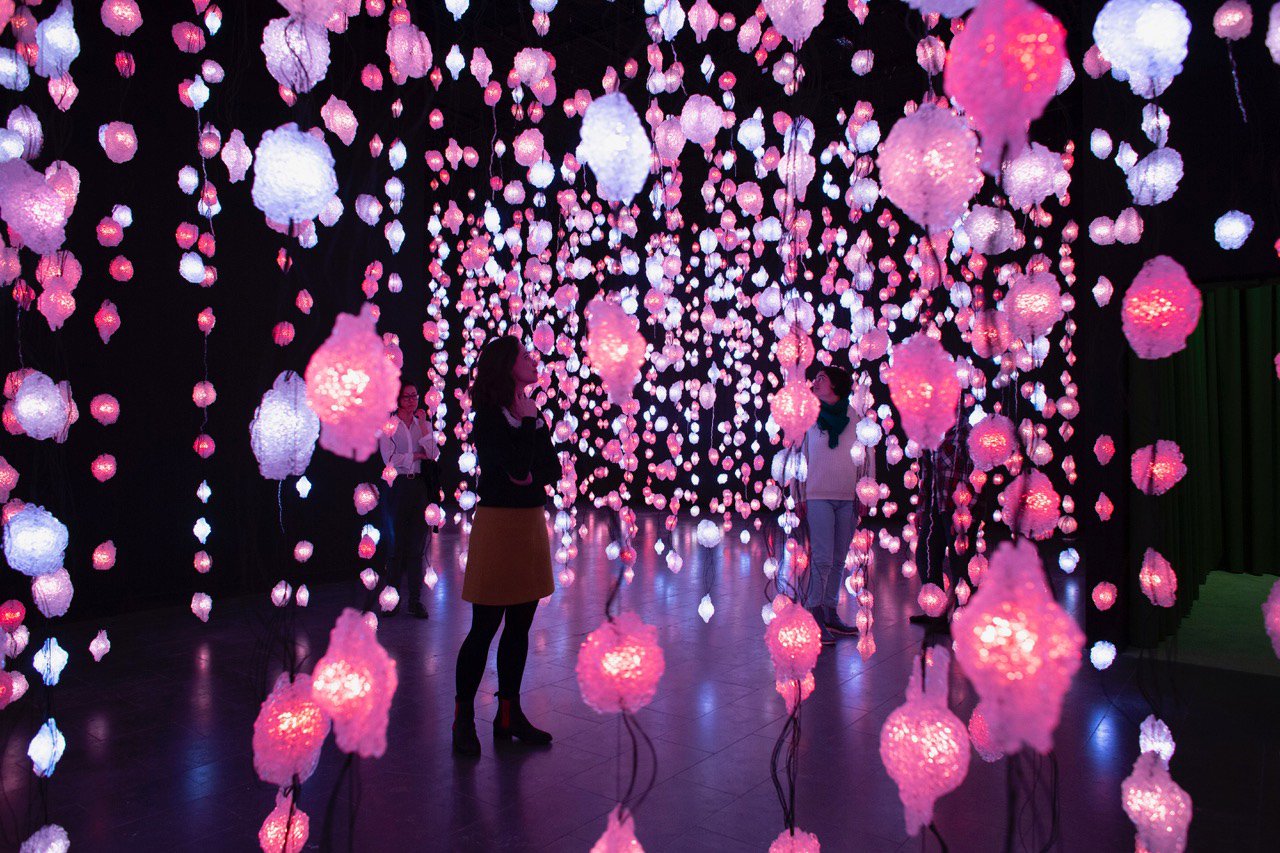 The Art of Pipilotti Rist