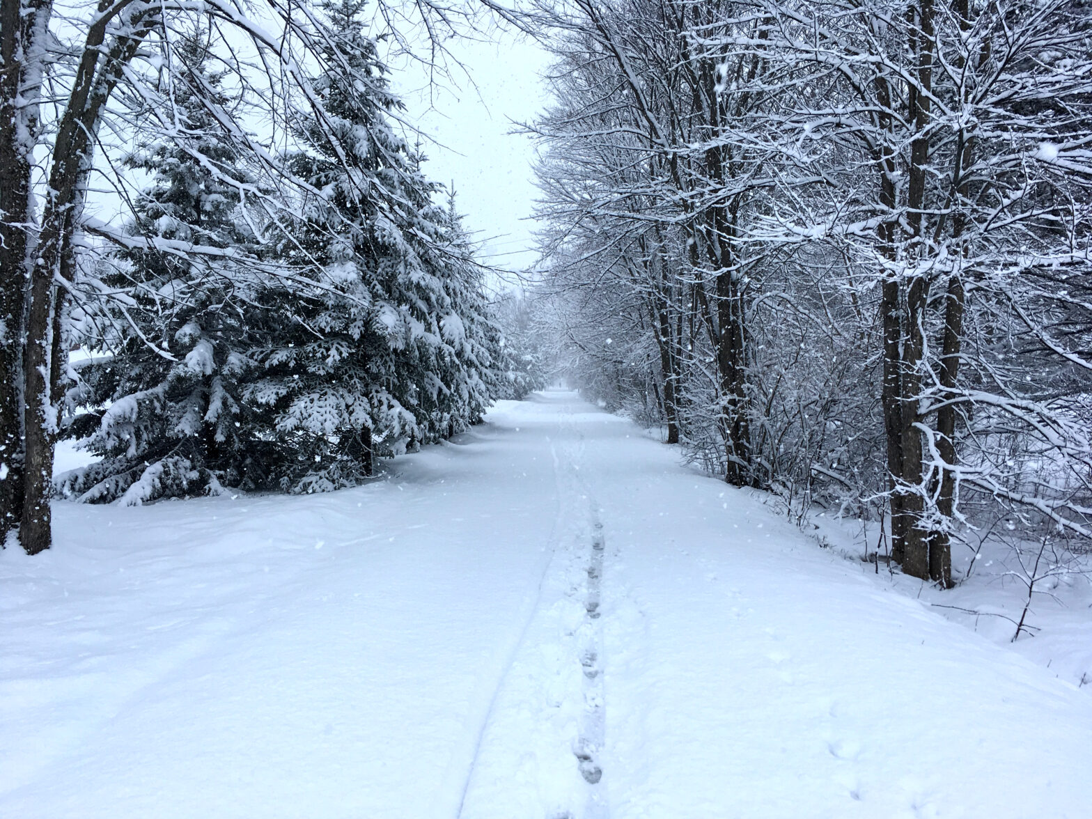 Spring Snow